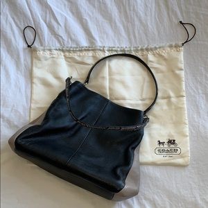 Coach Snakeskin Shoulder Bag